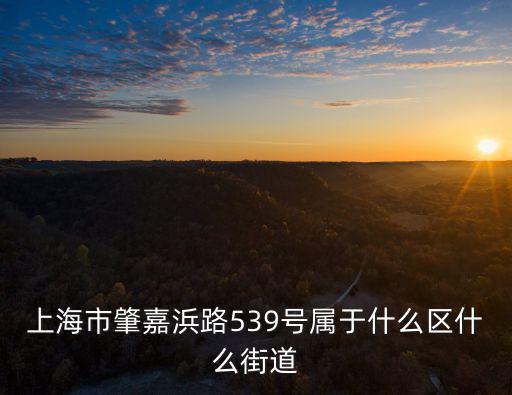 上海市嘉浜路是哪個(gè)區(qū)，上海市肇嘉浜路539號(hào)屬于什么區(qū)什么街道