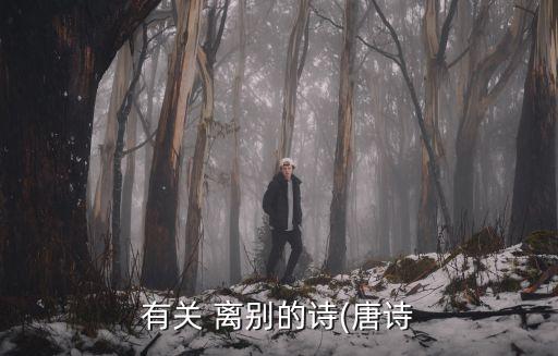 有關 離別的詩(唐詩
