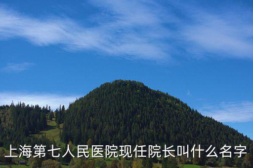 上海第七人民醫院現任院長叫什么名字