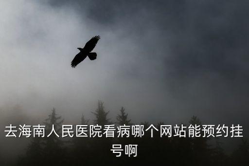 去海南人民醫院看病哪個網站能預約掛號啊