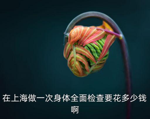 上海常規(guī)體檢項(xiàng)目及費(fèi)用，上海體檢需要多少錢(qián)這個(gè)誰(shuí)比較清楚呢