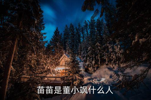 網紅苗苗個人資料簡介，網絡紅人HERA苗苗