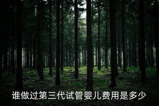誰做過第三代試管嬰兒費用是多少