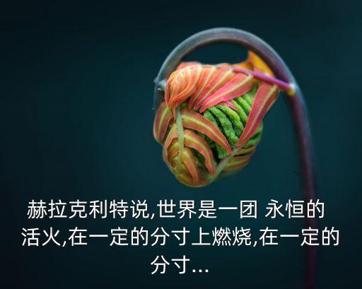 永恒的活火,《質料》:世界是活火宇宙是永恒of活火