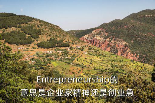 Entrepreneurship的意思是企業(yè)家精神還是創(chuàng)業(yè)急