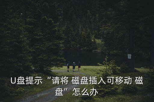 U盤(pán)提示“請(qǐng)將 磁盤(pán)插入可移動(dòng) 磁盤(pán)”怎么辦