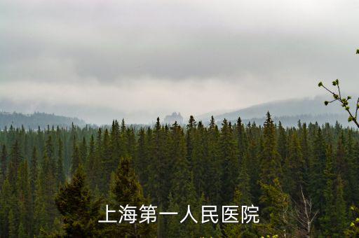 上海第一人民醫(yī)院
