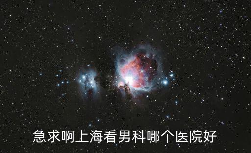 急求啊上海看男科哪個醫院好