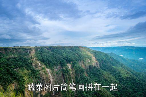 花菜簡筆畫，各種蔬菜簡筆畫是什么