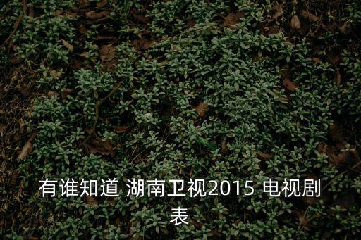 湖南電視劇,武媚娘傳奇:我意外地愛上你
