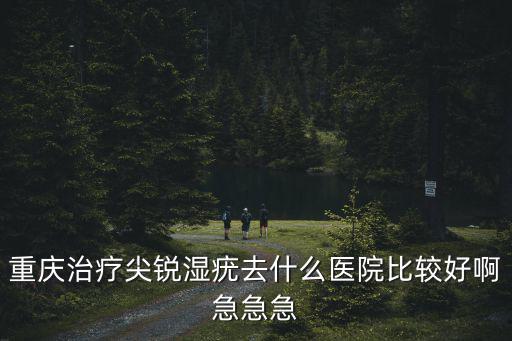 重慶治療尖銳濕疣去什么醫院比較好啊急急急