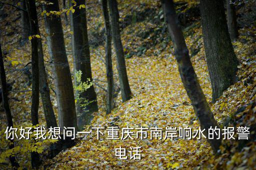 重慶市南岸執(zhí)行局電話，0236294是南岸哪里的電話