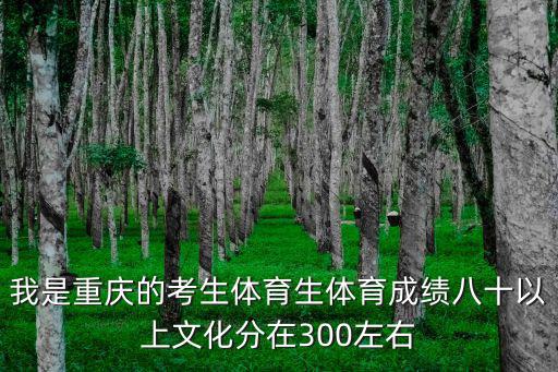 我是重慶的考生體育生體育成績八十以上文化分在300左右