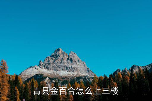 青縣金百合怎么上三樓