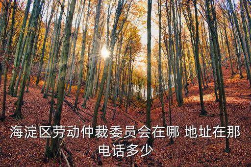 門頭溝勞動仲裁電話地址，北京市門頭溝勞動局地址