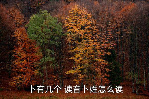 卜的讀音,五省的漢族人口占全國人口的67%