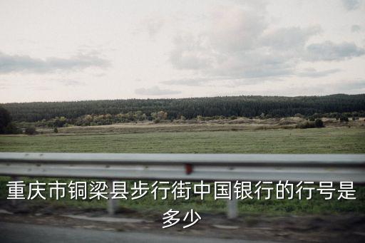 重慶市銅梁區中國銀行代碼，重慶市銅梁縣步行街中國銀行的行號是多少