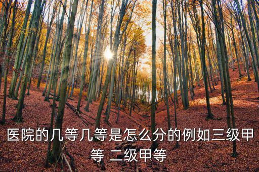 醫院的幾等幾等是怎么分的例如三級甲等 二級甲等