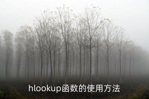 HLOOKUP函數，hlookup函數的使用方法