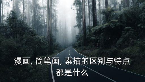 簡筆素描,素描色彩還原度高顏值不輸漫畫