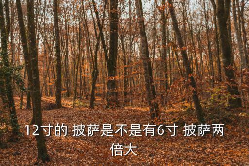 12寸的 披薩是不是有6寸 披薩兩倍大