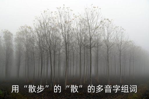 用“散步”的“散”的多音字組詞
