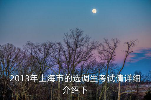 2013年上海市的選調(diào)生考試請(qǐng)?jiān)敿?xì)介紹下