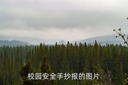安全手抄報模板，校園安全手抄報的圖片