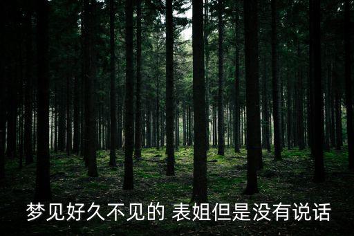  夢見好久不見的 表姐但是沒有說話