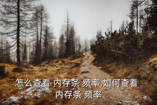 怎么查看 內存條 頻率,如何查看 內存條 頻率