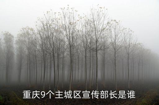 重慶市委宣傳部 薛，你好一個外地朋友想一下你知道重慶事業(yè)單位收入情況嗎