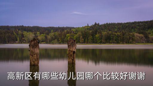 高新區(qū)有哪些幼兒園哪個比較好謝謝