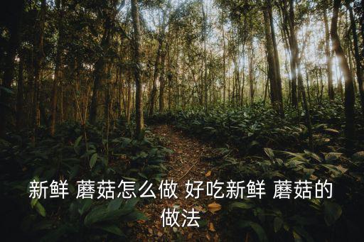 新鮮 蘑菇怎么做 好吃新鮮 蘑菇的做法