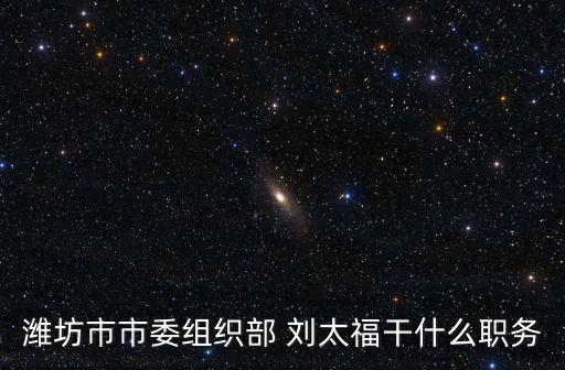 市委組織部部務(wù)委員是什么官，吳奮湛江市委組織部什么級(jí)別