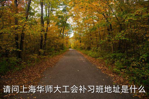 請問上海華師大工會補習班地址是什么