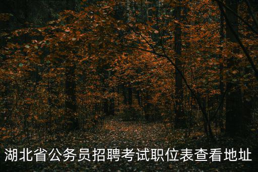 湖北省公務員招聘考試職位表查看地址