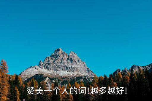  贊美一個人的詞!越多越好!
