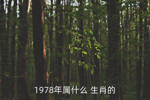 1978年屬什么 生肖的