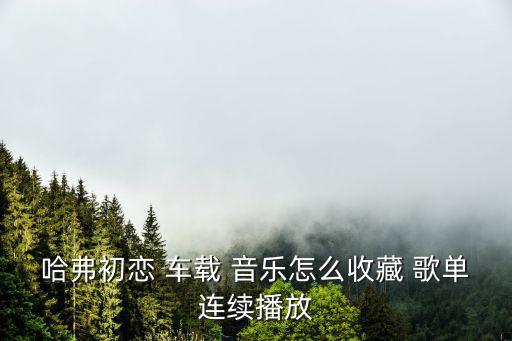 車載音樂歌單,如何下載無損音樂?這三點要注意