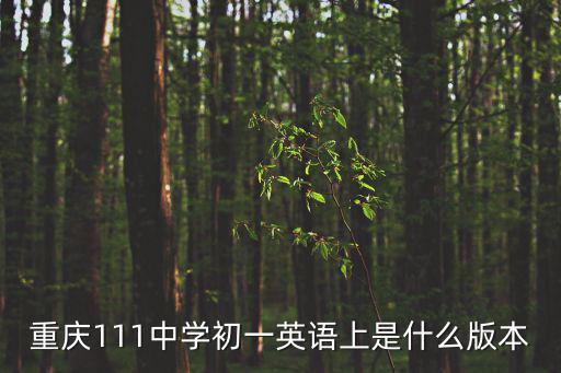 重慶市七年級上冊英語書，初一上冊英語