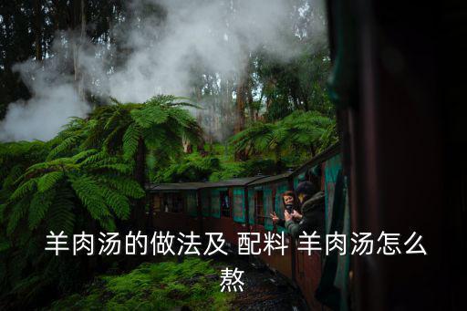  羊肉湯的做法及 配料 羊肉湯怎么熬