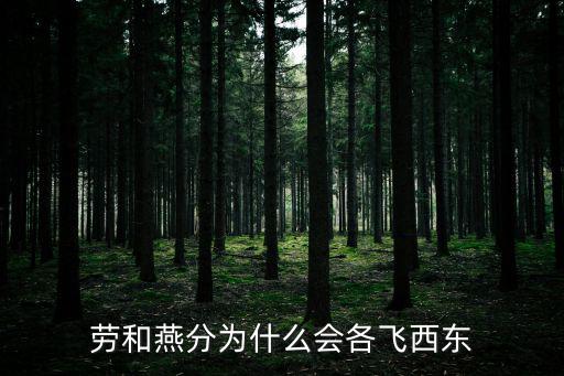 伯勞飛燕,老燕是指伯勞和燕子