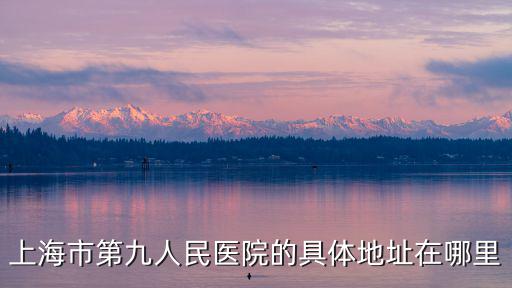 上海市第九人民醫院屬于哪個街道，第九 人民 醫院在 上 海 的哪個區啊