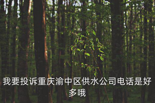重慶市渝北區(qū)自來水公司客服電話，我要投訴重慶渝中區(qū)供水公司電話是好多哦