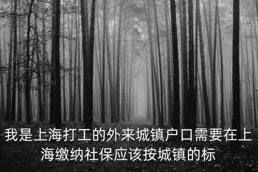 我是上海打工的外來城鎮戶口需要在上海繳納社保應該按城鎮的標