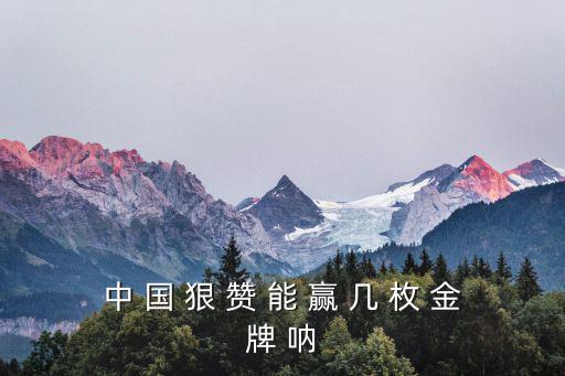 中 國 狠 贊 能 贏 幾 枚 金牌 吶