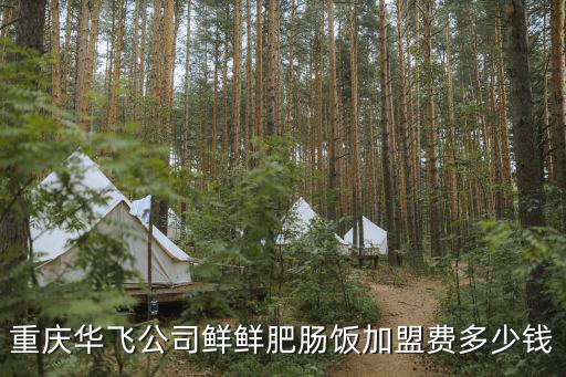 重慶華飛公司鮮鮮肥腸飯加盟費多少錢