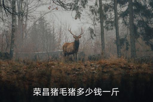 重慶市榮昌區仔豬價格多少錢一個，榮昌今曰豬苗價格