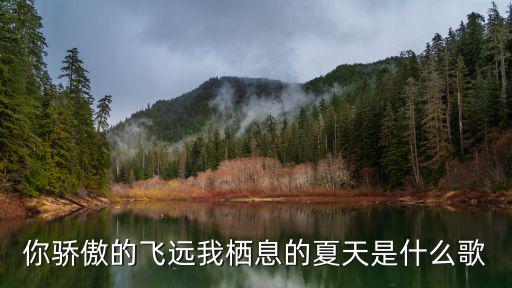 你驕傲的飛遠我棲息的夏天是什么歌