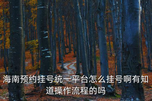 海南預約掛號統一平臺怎么掛號啊有知道操作流程的嗎